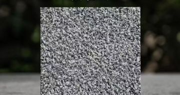 榆林 芝麻黑荔枝面