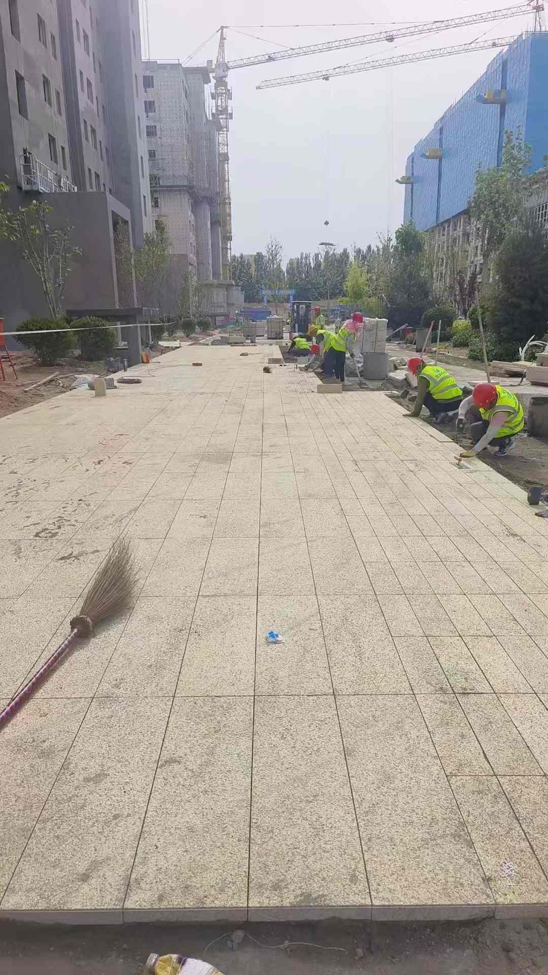 榆林黄金麻荔枝面地铺案例