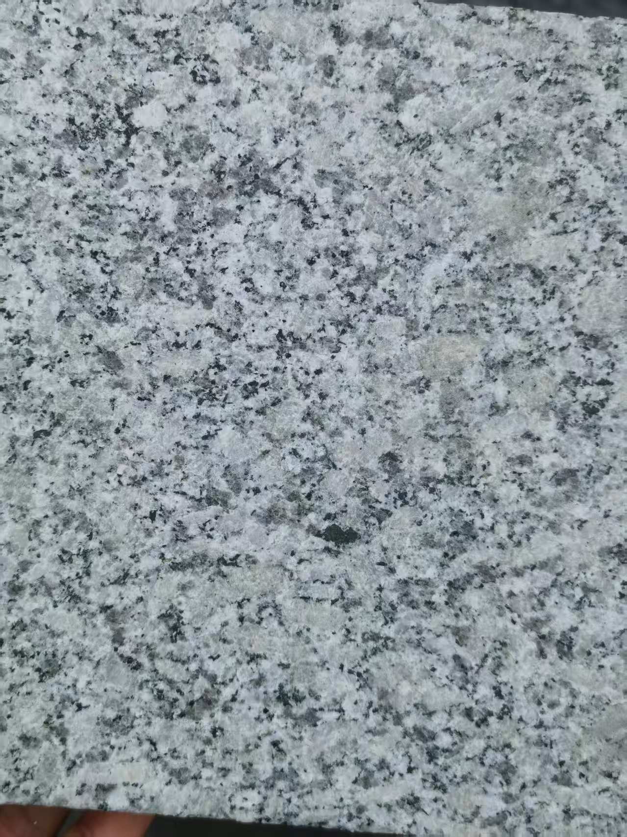 榆林 芙蓉白火烧面